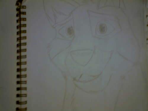 Balto sketch