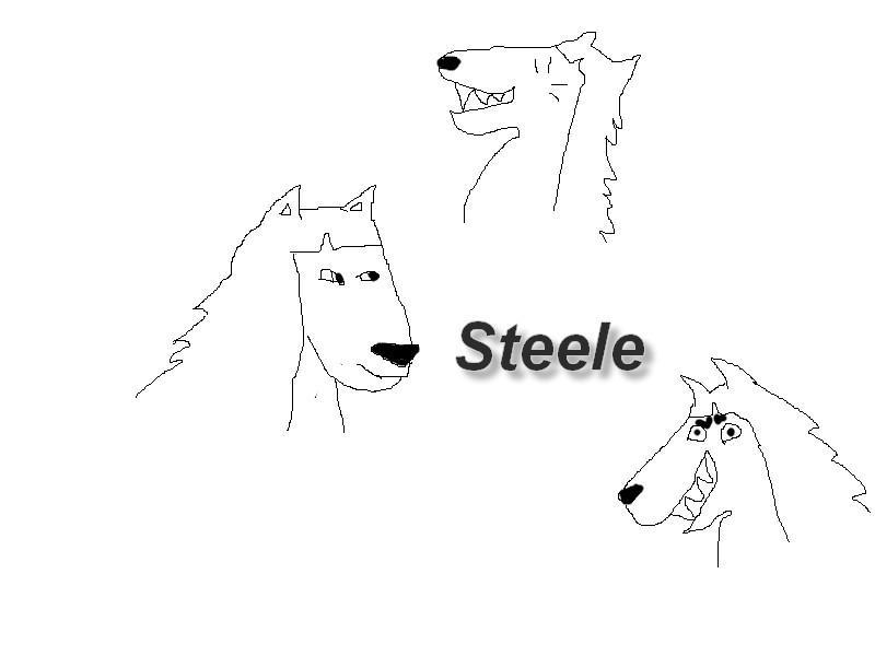 Steele dans sa splendeur !