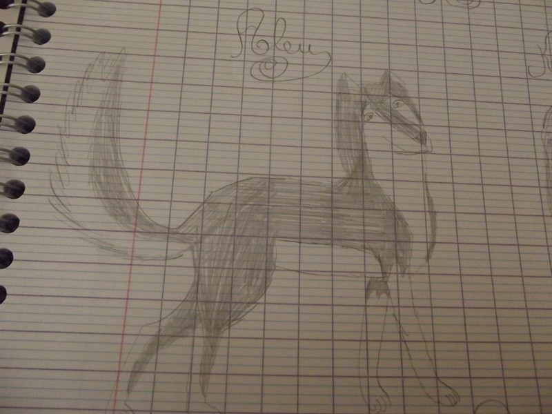 Mon dessin d'Aleu, au crayon !