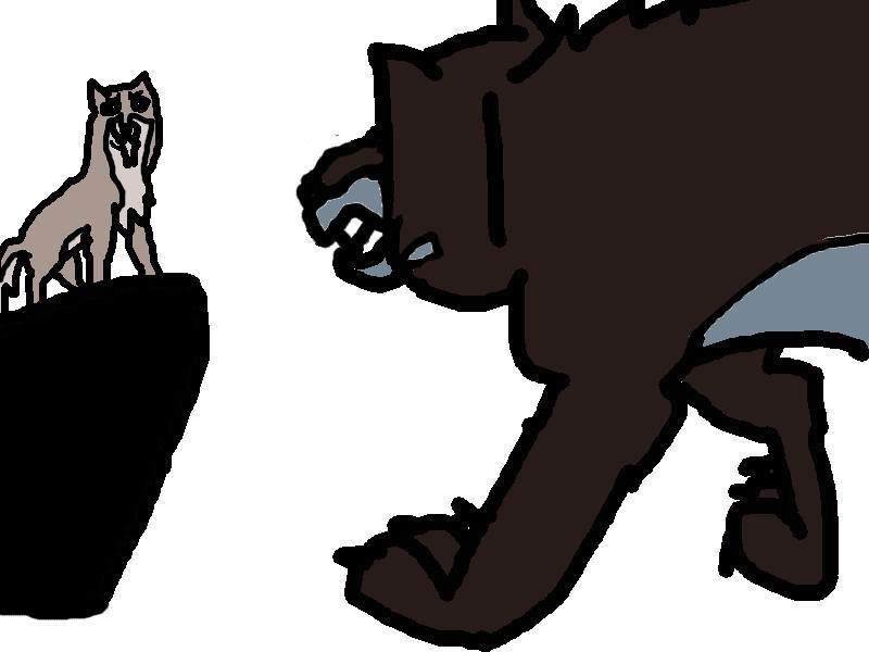 Niju et Nava