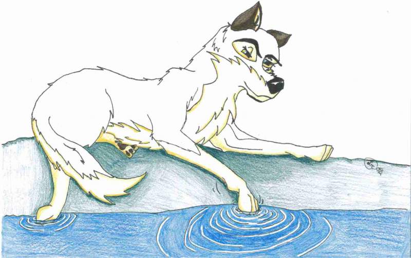 Me by the water's edge