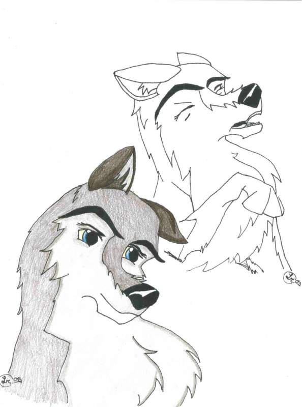 outline verses colored