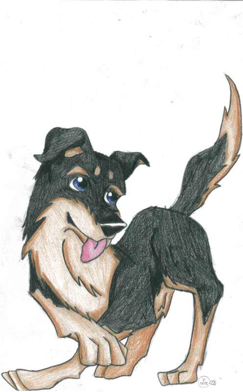 my friend's dog