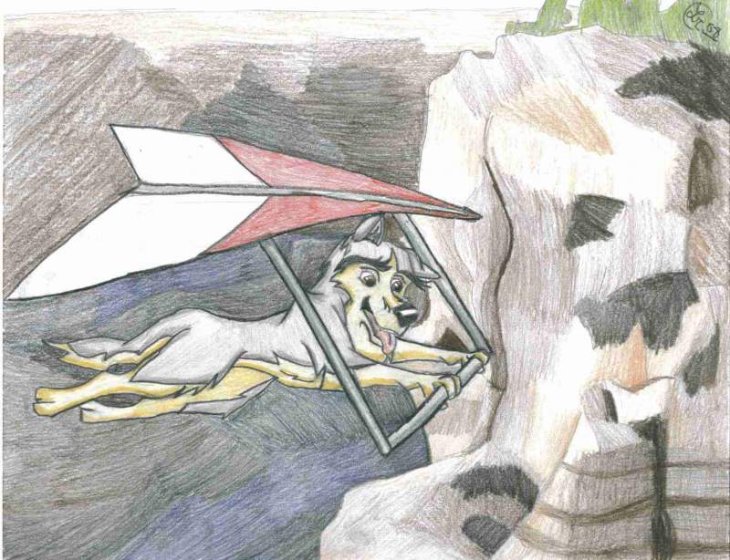 Hang gliding over the Grand Canyon