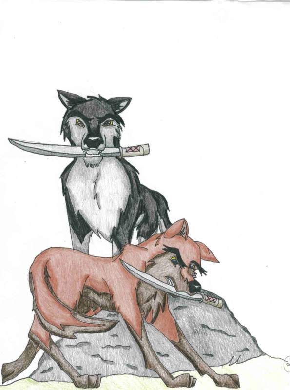 Samurai wolves