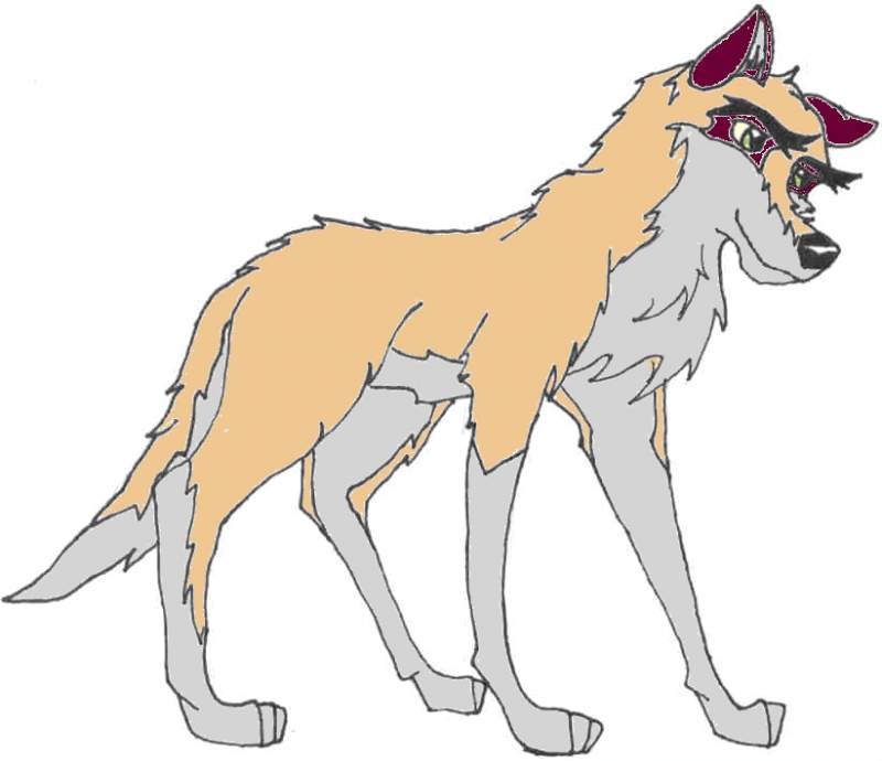 Max