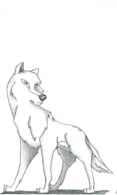 Aniu