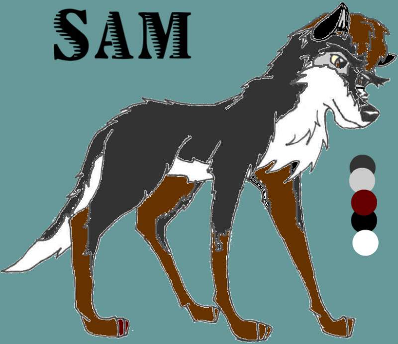Sam