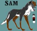 Sam