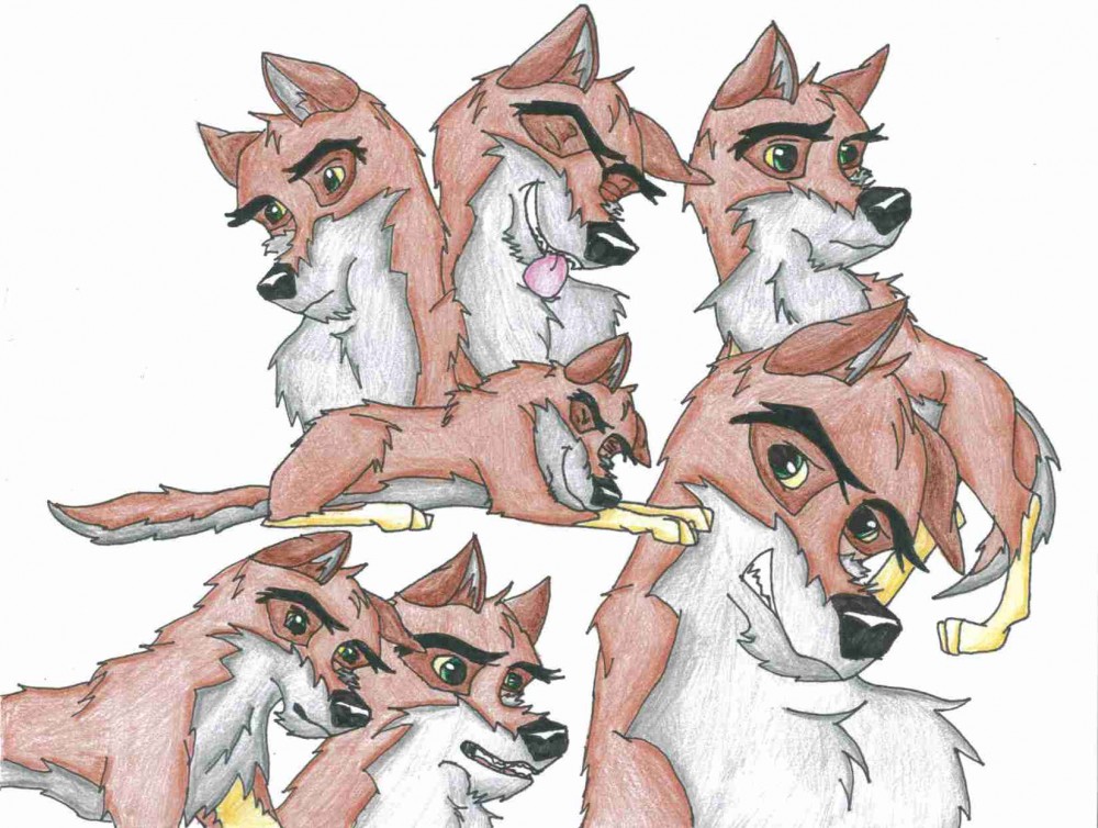 the expressions 