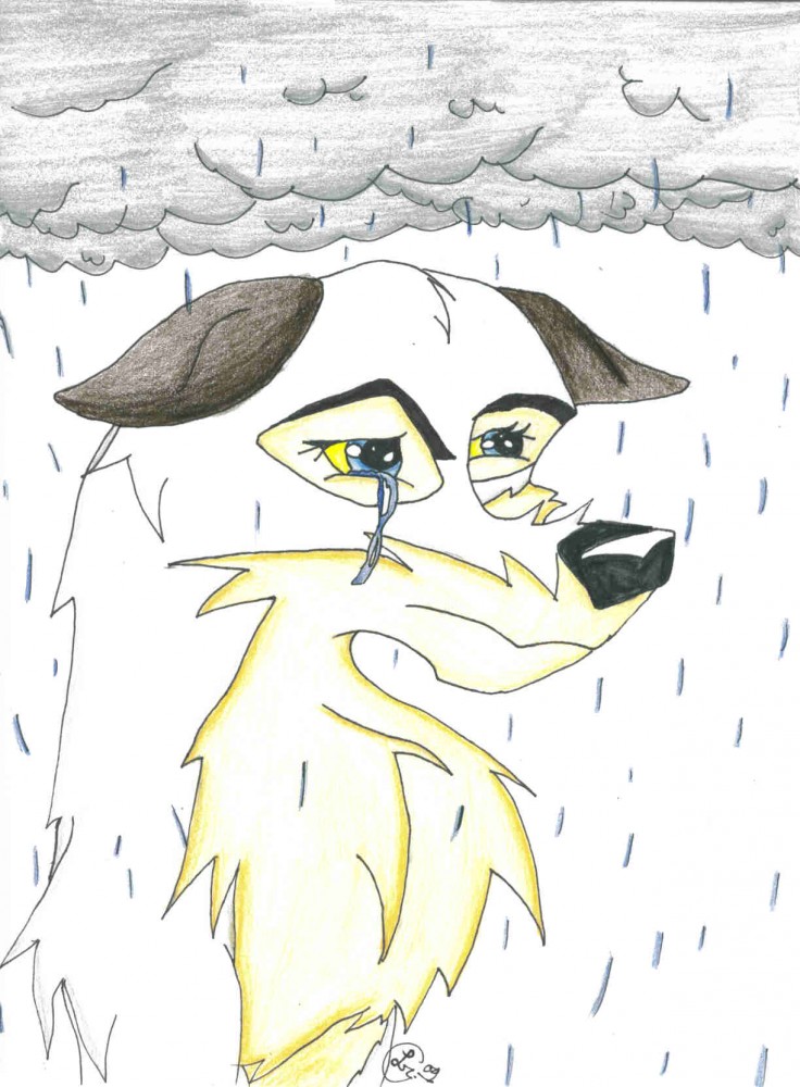 an extra drop of rainwater from my eye