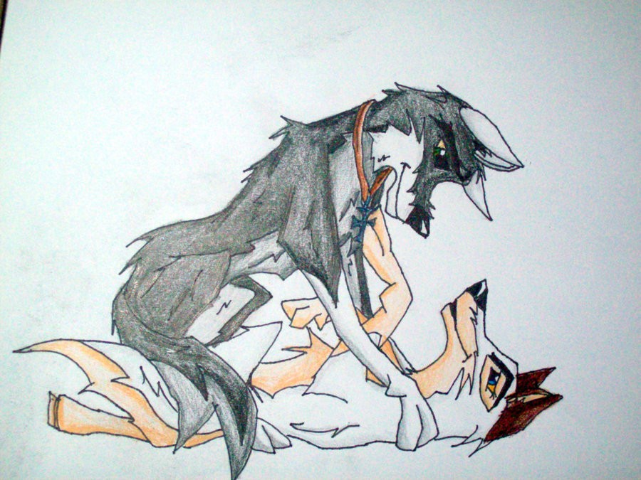 Love Needs No Words...