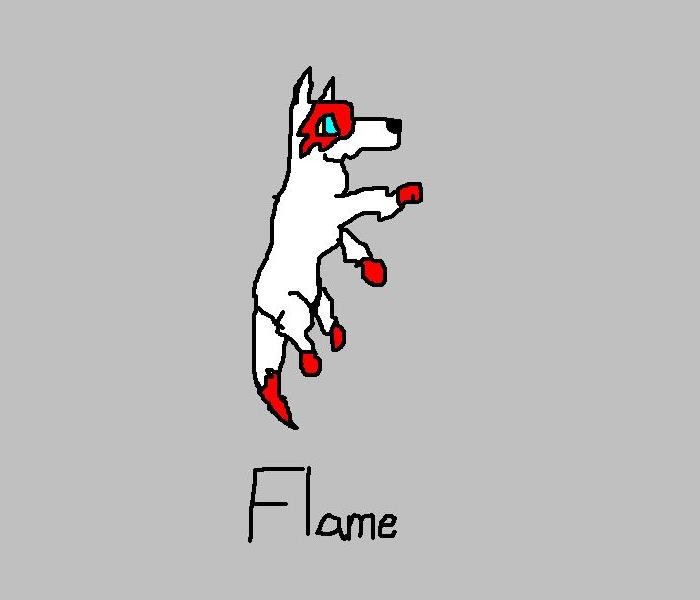 Flame