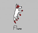 Flame