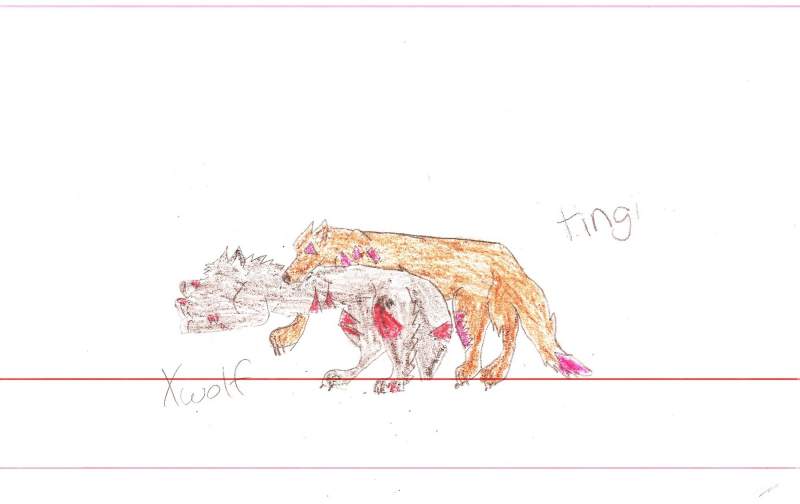 Xwolf and Tingi 