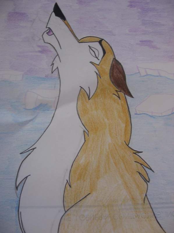 Aleu howling