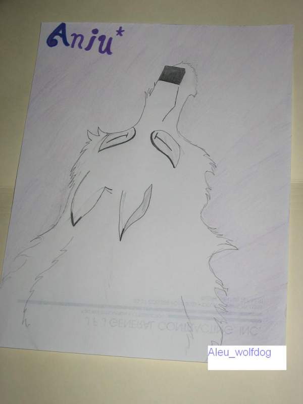 Aniu (original)