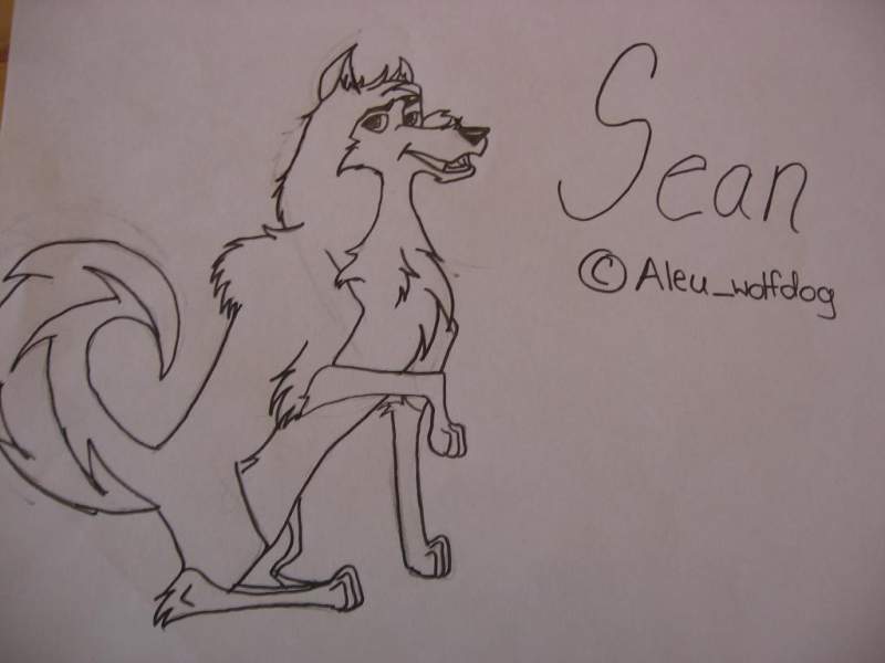 Sean 