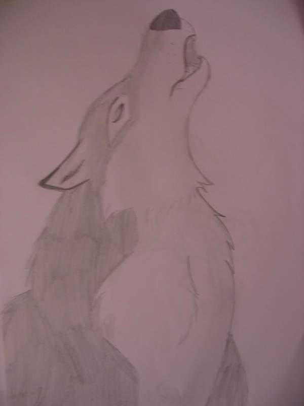 Howling Wolf