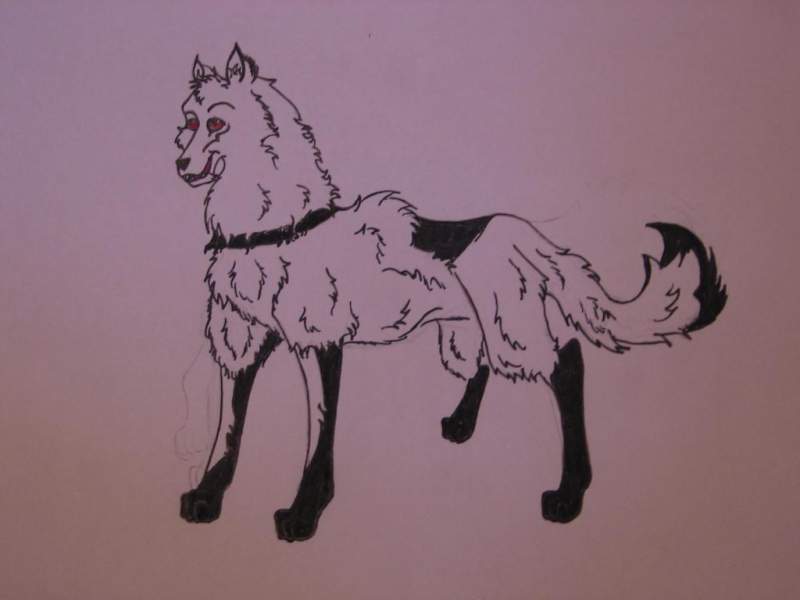 Request for Wolfies73!!! (Mathieu)