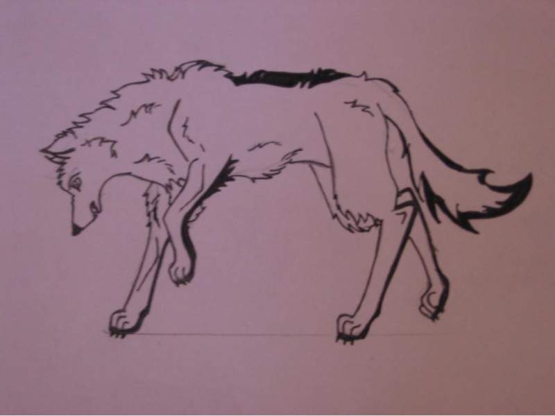 Request for Wolfies73!!! (Marth)