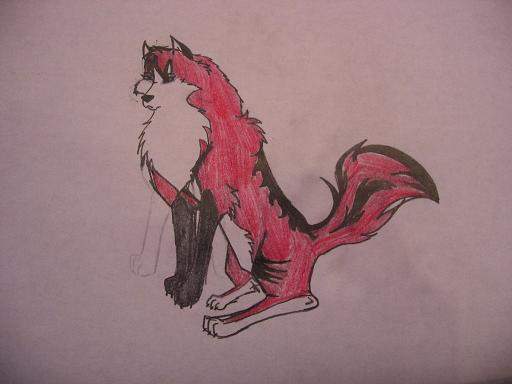 A New Character