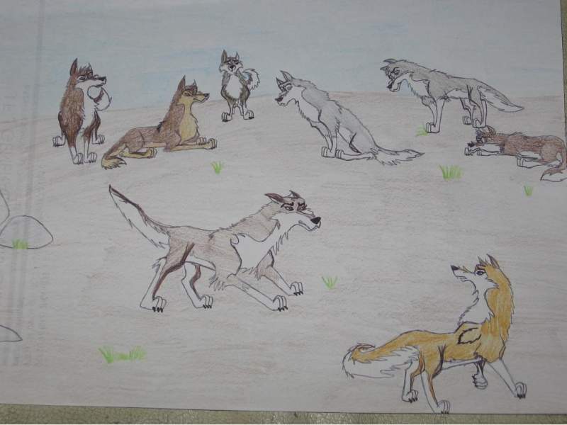 Kiska V. Aleu