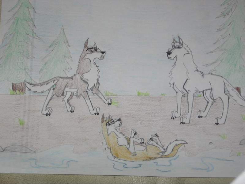 Kiska and Aleu