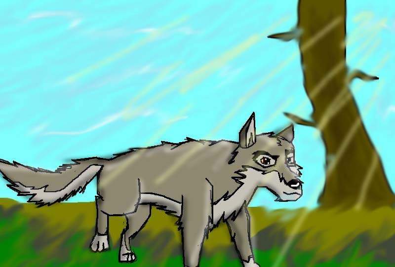 Balto