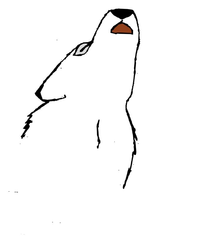 Aniu