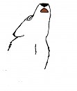 Aniu