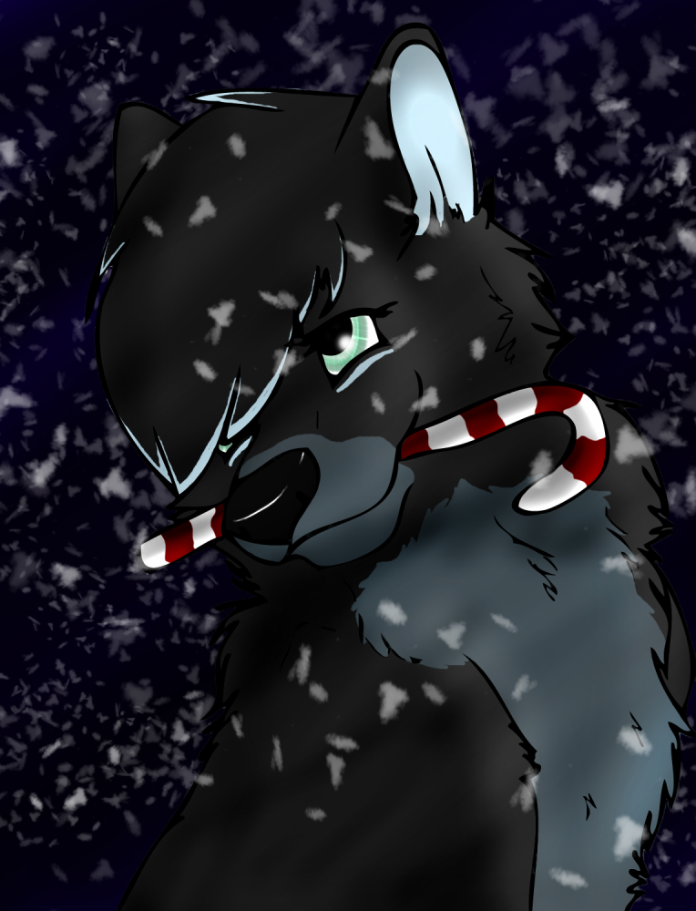 Merry Christmas Love <3
