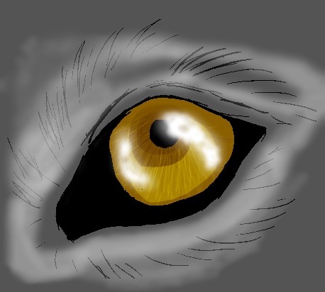 Eye see you.