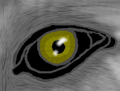Eye number two