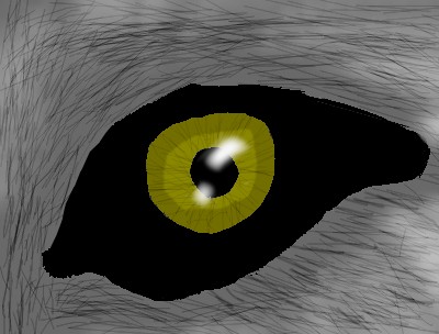 A third eye