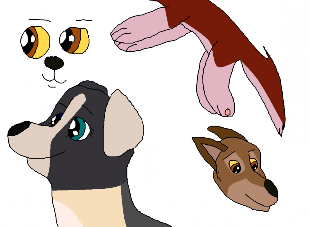 Balto, Kodi, & June