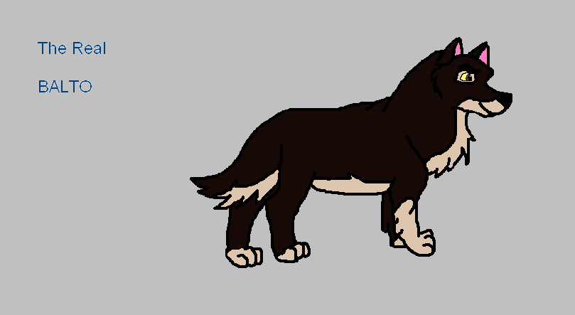 The Real Balto For Jerseycaptin