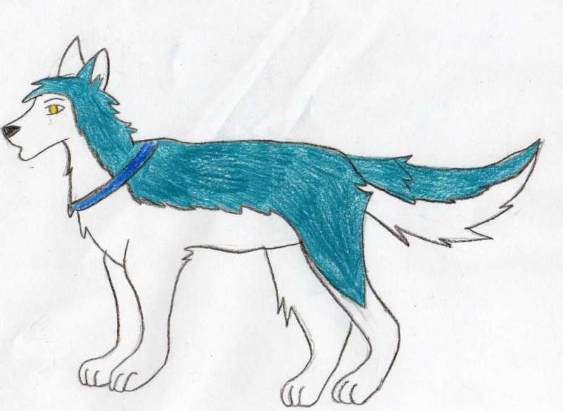 My new character Storm