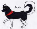 MY SABA