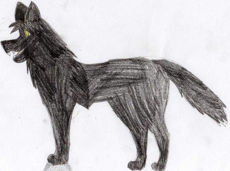 Gift for WOLFMAN ^_^