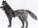 Gift for WOLFMAN ^_^
