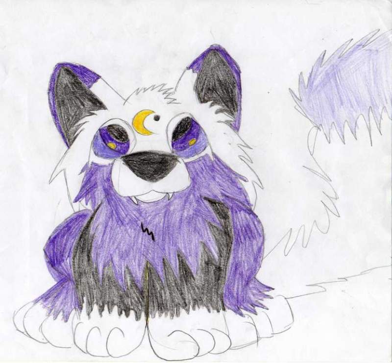 My little sister Luna