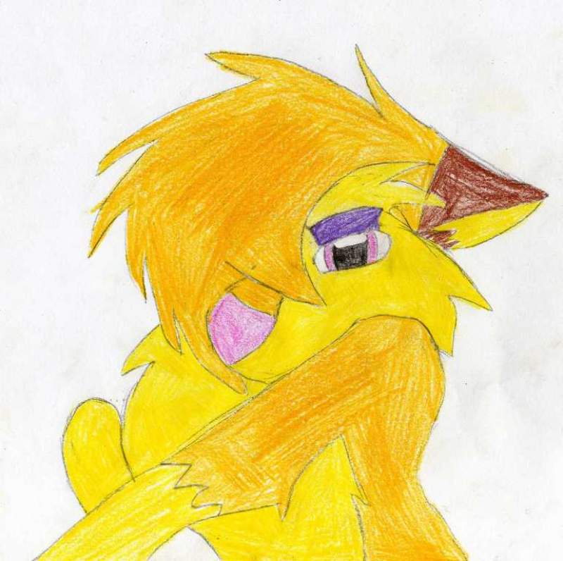 Kiki for Wolftrick