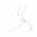 balto