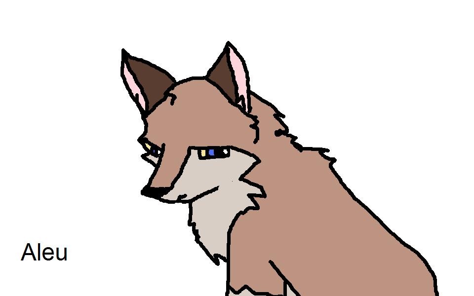 Aleu Should of looked like this...
