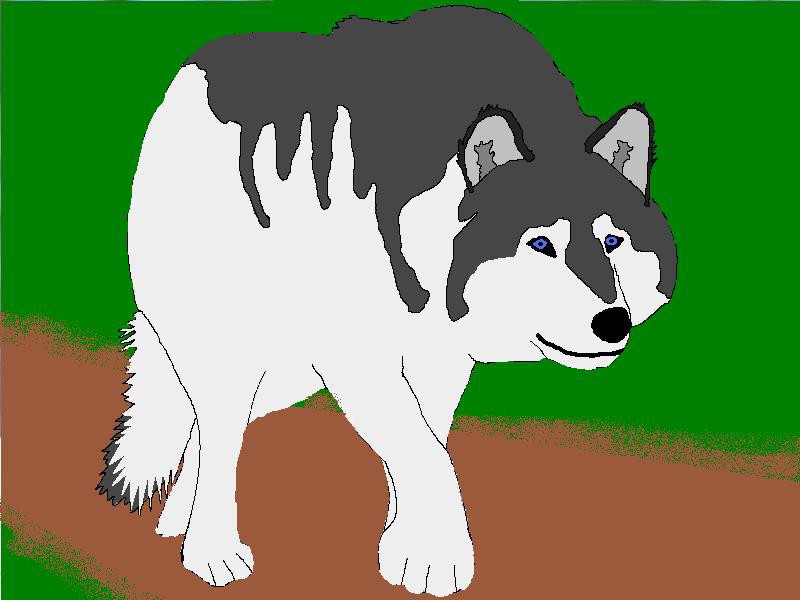 My vary first computer drawings