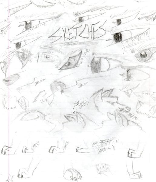 Sketches 