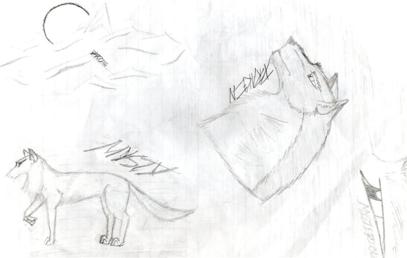 more random drawings