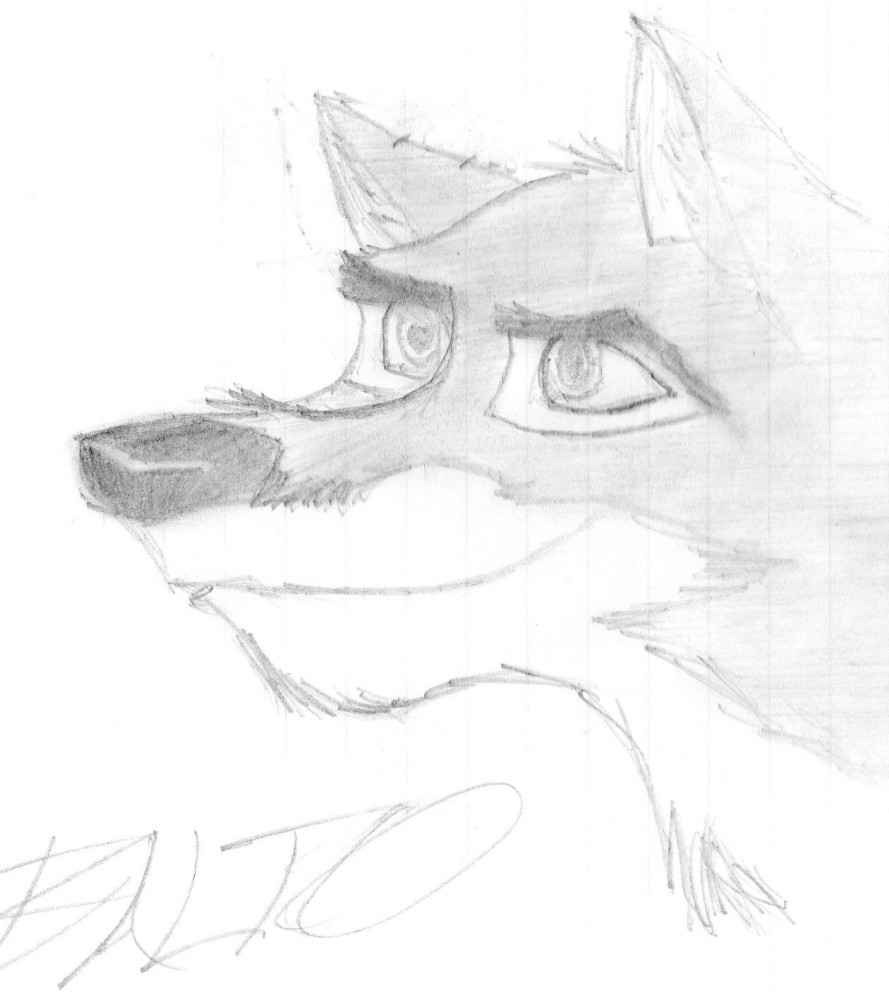 Balto 