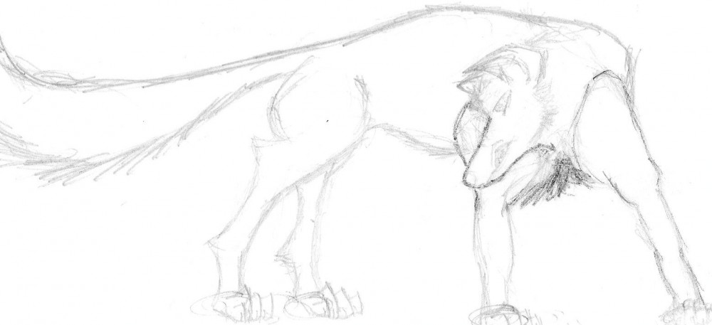 sketch pt.1